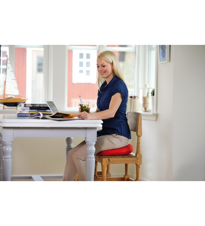 SISSEL SitFif Plus – disk za sjedenje