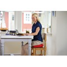 SISSEL SitFif Plus – disk za sjedenje