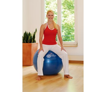 SISSEL Excercisse Ball