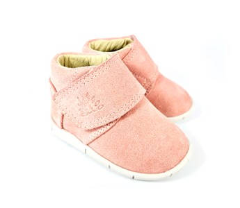 Rose Baby Lavandon